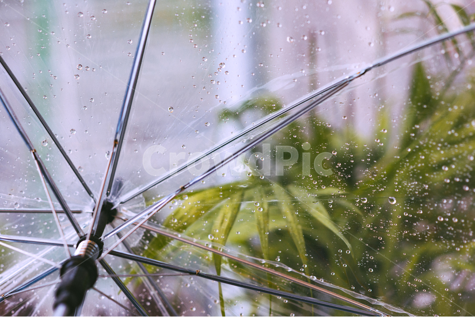 비,우산,감성,빗방울,감성사진,비,비오는날,rain,rainy