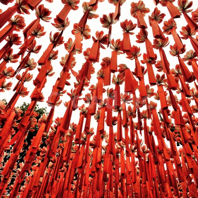 패턴,빨강,중국,연등,붉은색,해외,외국,세계,foreign,oversea,world,종교,신앙,religion,belief,faith,기념일,축하,anniversary,congratulation,celebrate,celebration,축제,행사,festival,carnival,event