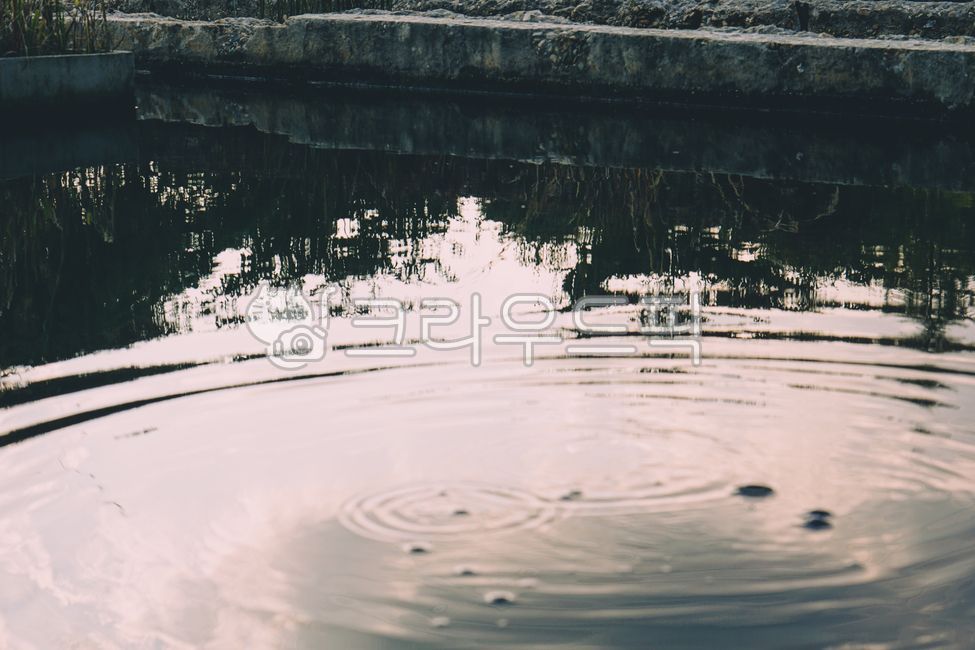 연못,water,물,outdoors,퍼지는,nature,자연
