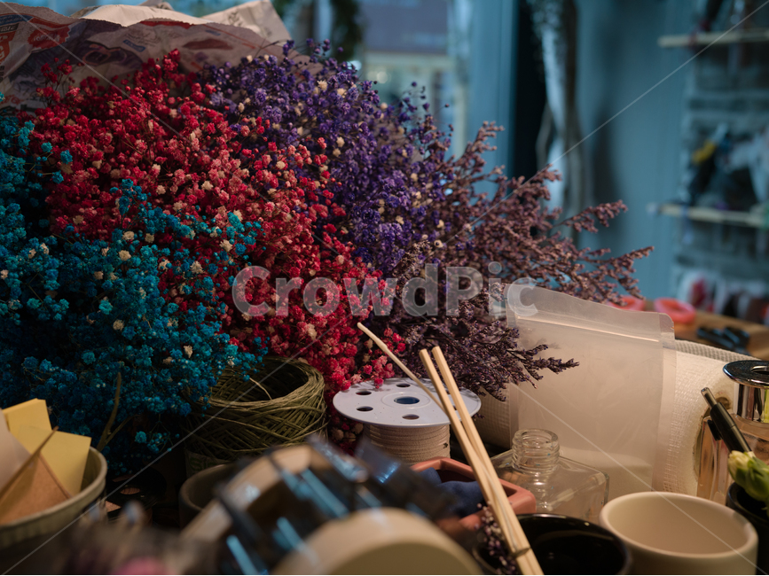꽃,플라워,배경,카페,작업,식물,자연,plants,nature,꽃,flower,기념일,축하,anniversary,congratulation,celebrate,celebration,인테리어,실내디자인,interior design,사물,물건,오브젝트,thing,object,matter