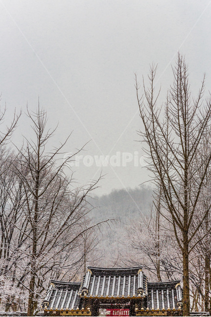 설경,기와,고택,사당,풍경,전통,겨울,계절,winter,season,한국전통,한국문화,korean traditional,korean culture,건축물,건물외관,exterior,building,structure,architecture,construction