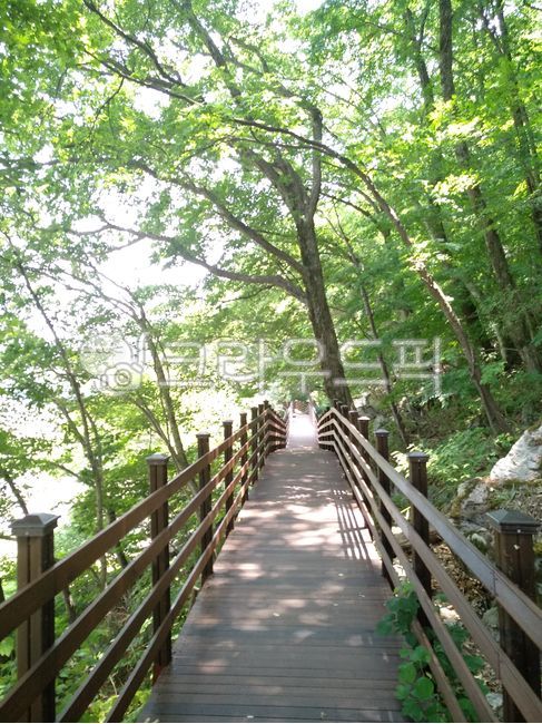 산책로,산책길,숲길,공원,나무데크,산길