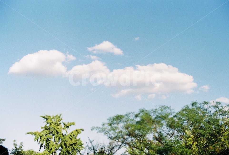 구름,하늘,여름하늘,여름구름,sky,cloud