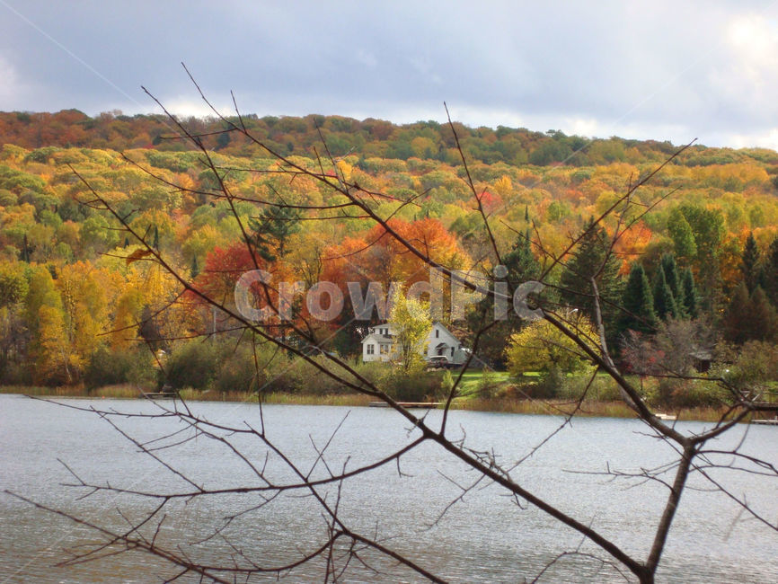 가을,단풍,호수,나무,자연,나뭇가지,색상,고요함,가을,계절,fall,autumn,season,자연,풍경,nature,landscape,tree,plant,식물,water,물,outdoors,옥외