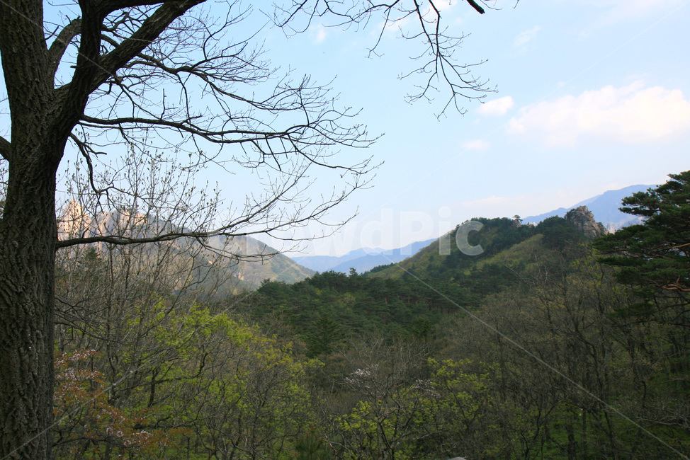 녹색,자연,나무,하늘,산정상,등산,산,파란하늘,산꼭대기,봄,여름,상쾌함,멋진,구름,설악산,높은산,산위에서,정상,자연,풍경,nature,landscape,outdoors,옥외