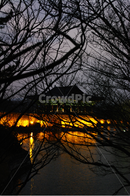 안압지,연못,경주,건축,traditional,전통,조명,빛,나무,식물,plant,야경,밤,풍경,nightscape,night,landscape,한국전통,한국문화,korean traditional,korean culture,랜드마크,landmark,tourist attraction,한국랜드마크,한국관광지,한국명소,korea landmark,korea tourist attraction,건축물,건물외관,exterior,building,structure,architecture,construction