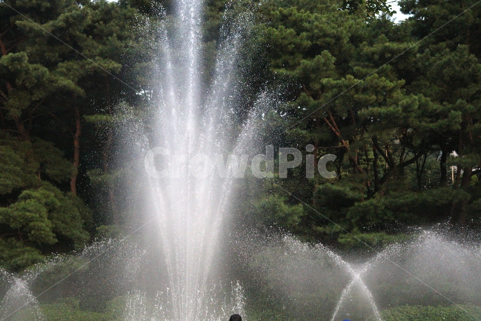 분수,분수대,물,공원,예술의전당,나무,소나무,자연,풍경,nature,landscape,water,fountain
