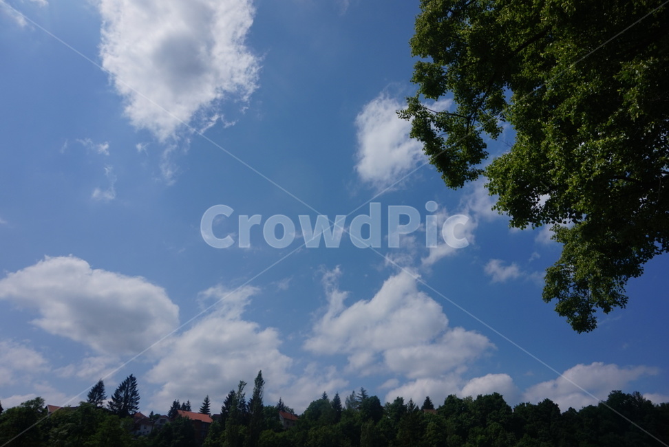 구름,하늘,뭉게구름,나무,sky,여름하늘,여유,흘러감,자연,풍경,nature,landscape,outdoors,옥외,azure sky,푸른 하늘