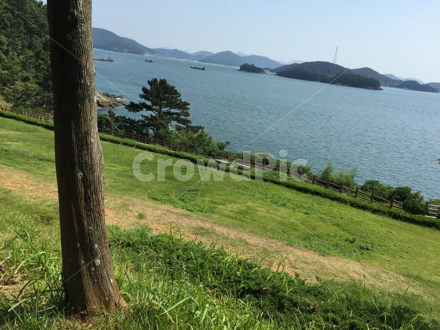자연,바다,초원,나무,들판,자연,풍경,nature,landscape,plant,식물