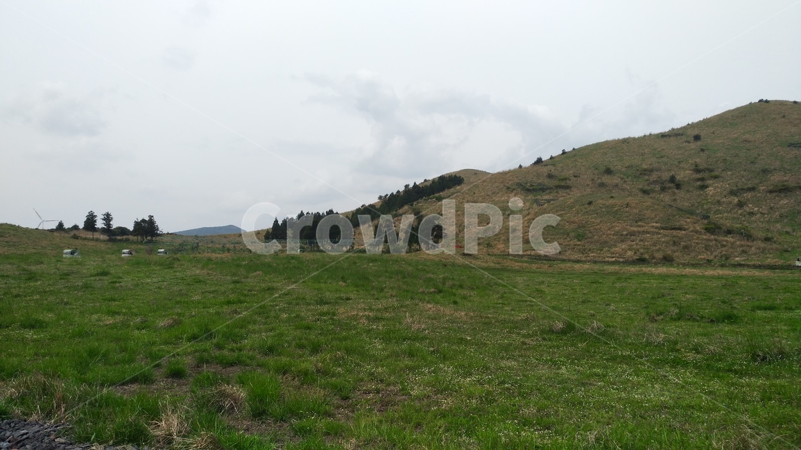제주도,자연,산,풀,초록,하늘,나무,자연,풍경,nature,landscape,grassland,목초지,field,들,outdoors,옥외