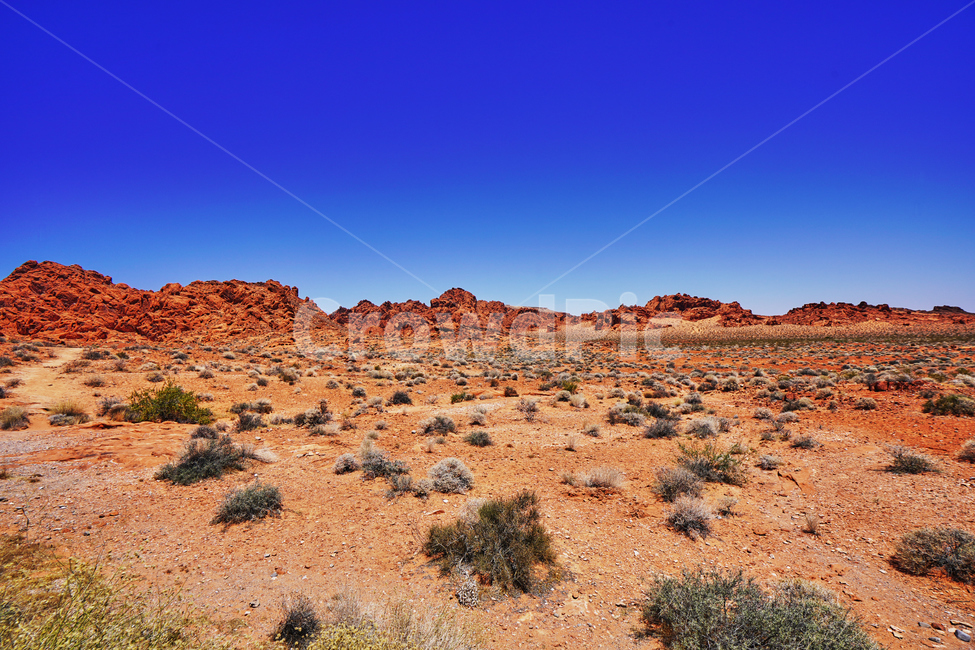 불의계곡,valleyoffire,건조한,dry,풍경,파란하늘,red,sandstone,자연,풍경,nature,landscape,해외,외국,세계,foreign,oversea,world,세계자연풍경,해외자연풍경,외국자연풍경,world nature landscape,ground,바닥,outdoors,옥외,desert,사막