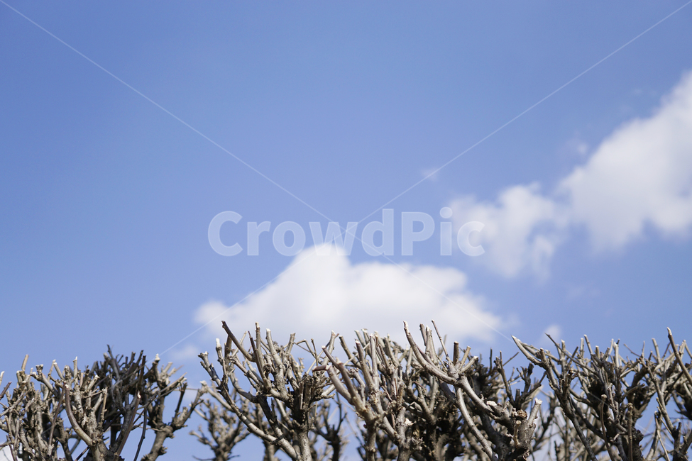하늘,풍경,구름,겨울,sky,cloud,winter,blue,자연,풍경,nature,landscape