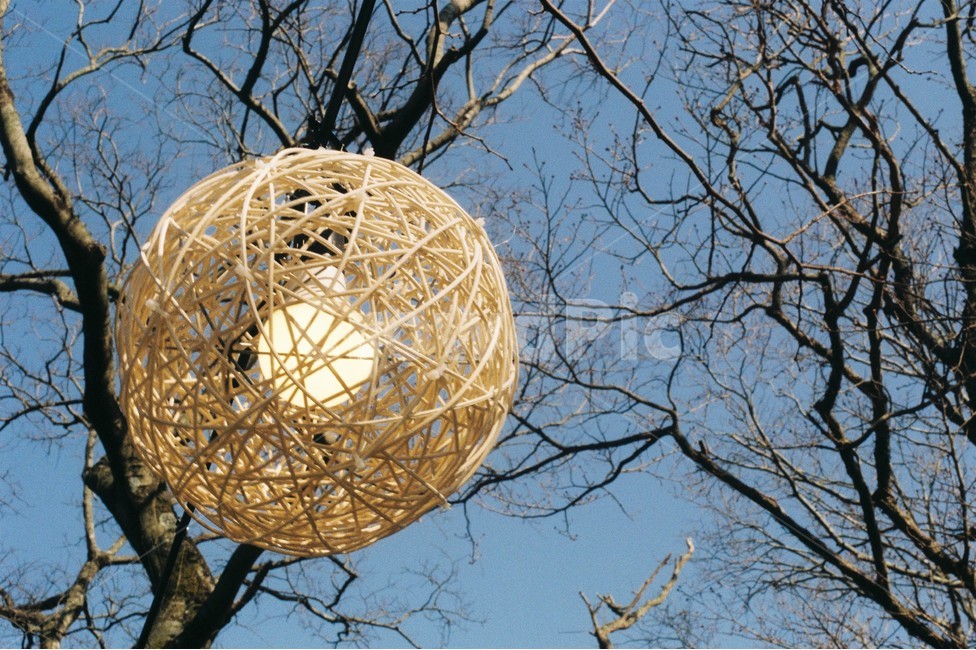 tree,풍경,전등,나무,하늘,길거리,겨울,겨울,계절,winter,season,사물,물건,오브젝트,thing,object,matter