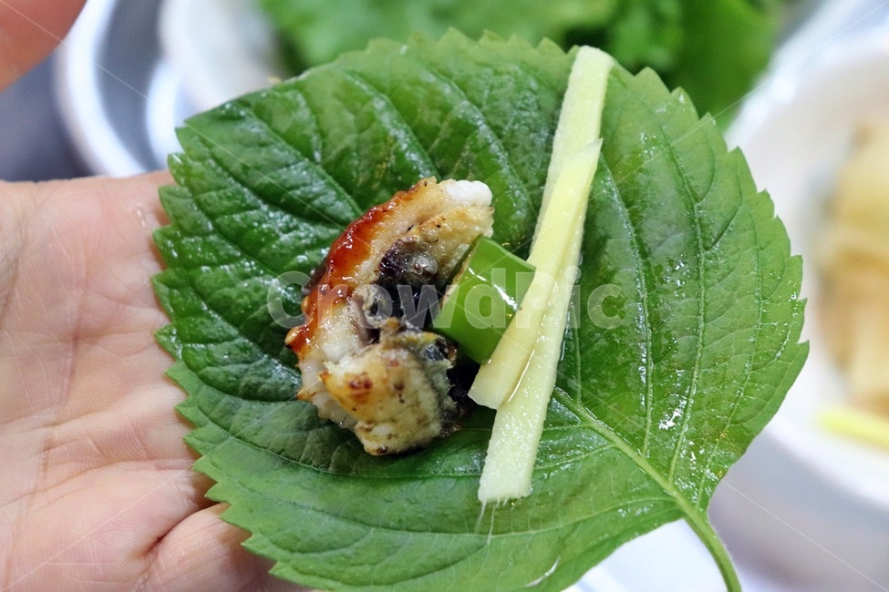 장어,장어구이,한국음식,장어요리,생선,korea,koreafood