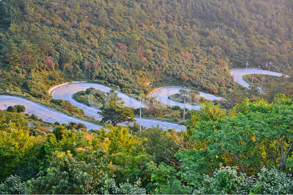 흑산도길,구불구불,길,꼬부랑길,신안,흑산도,scenery,풍경,outdoors,옥외,nature,자연,landscape,경치,자연,풍경,nature,landscape