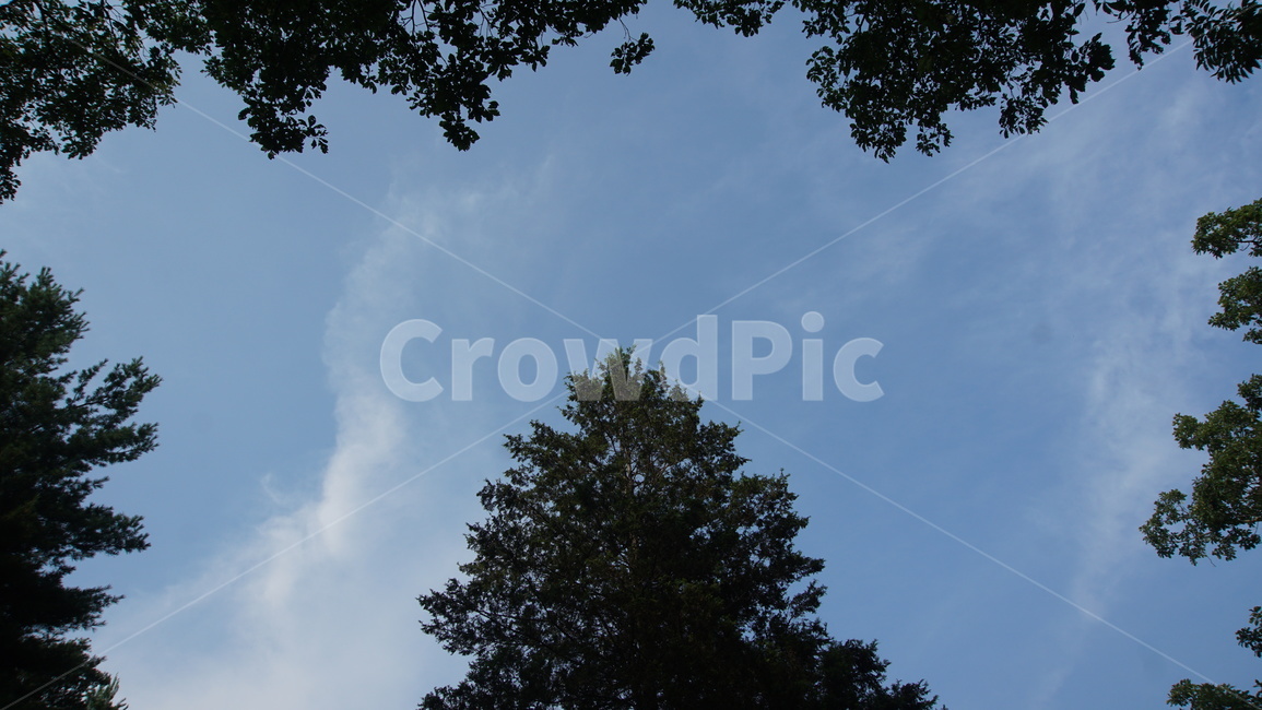 자연,하늘,숲,산,나무,풍경,초록,green,nature,sky,forest,mountain,구름,cloud,산림,자연,풍경,nature,landscape