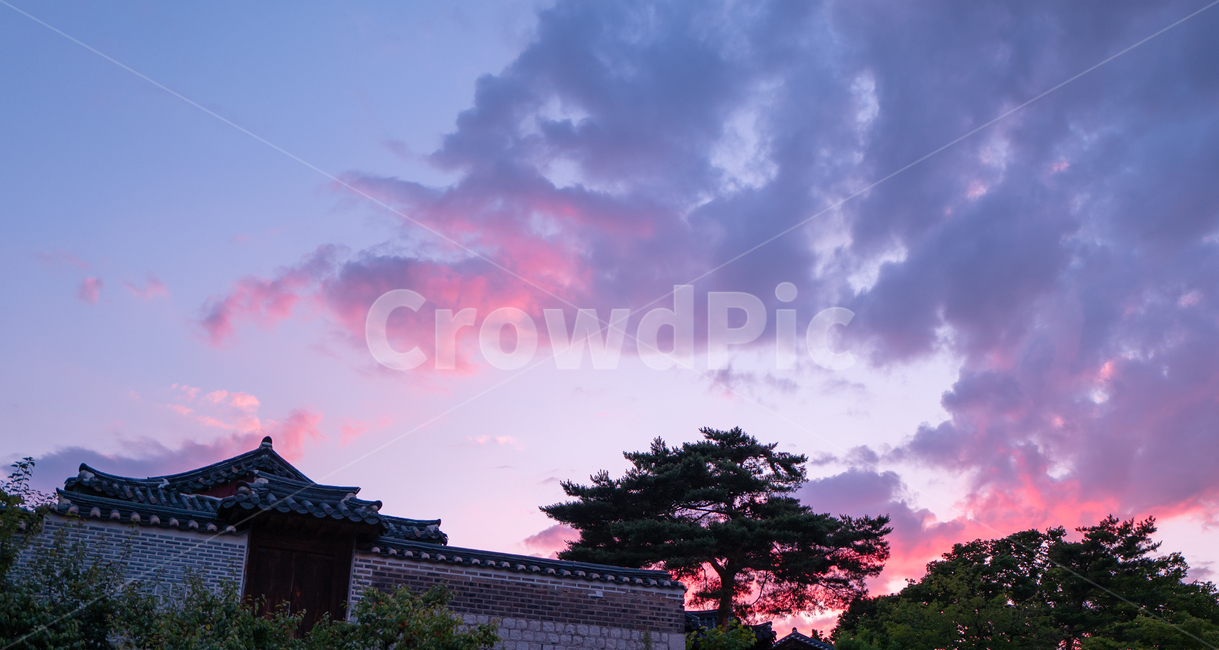 한국,궁궐,대한민국,건물,건축물,building,architecture,temple,신전,worship,예배,shrine,신사,nature,자연,weather,날씨,옥외,outdoors,자연,풍경,nature,landscape,한국전통,한국문화,korean traditional,korean culture