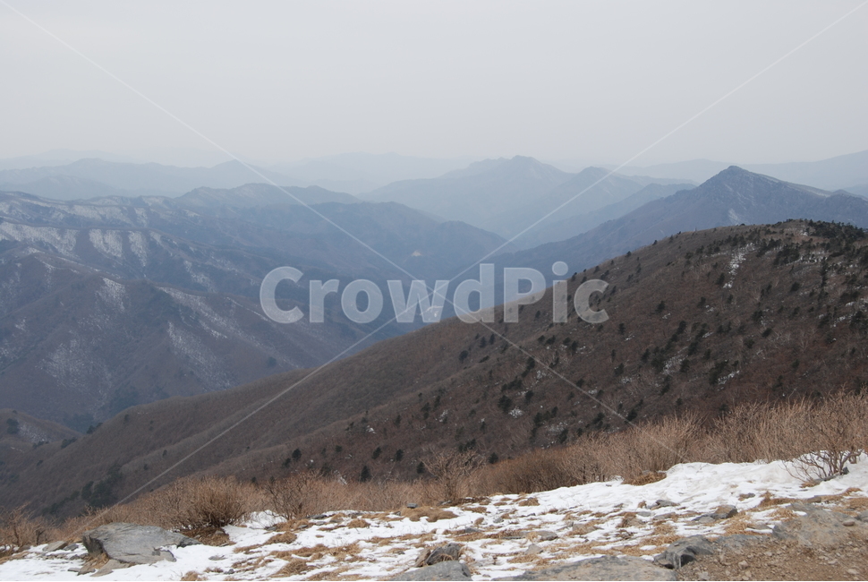태백산,자연휴양림,겨울,태백시,국립공원,거제수나무,겨울,계절,winter,season,자연,풍경,nature,landscape,한국자연풍경,한국자연경관,korea nature landscape,slope,경사,outdoors,옥외,mountain range,산맥,mountain,산