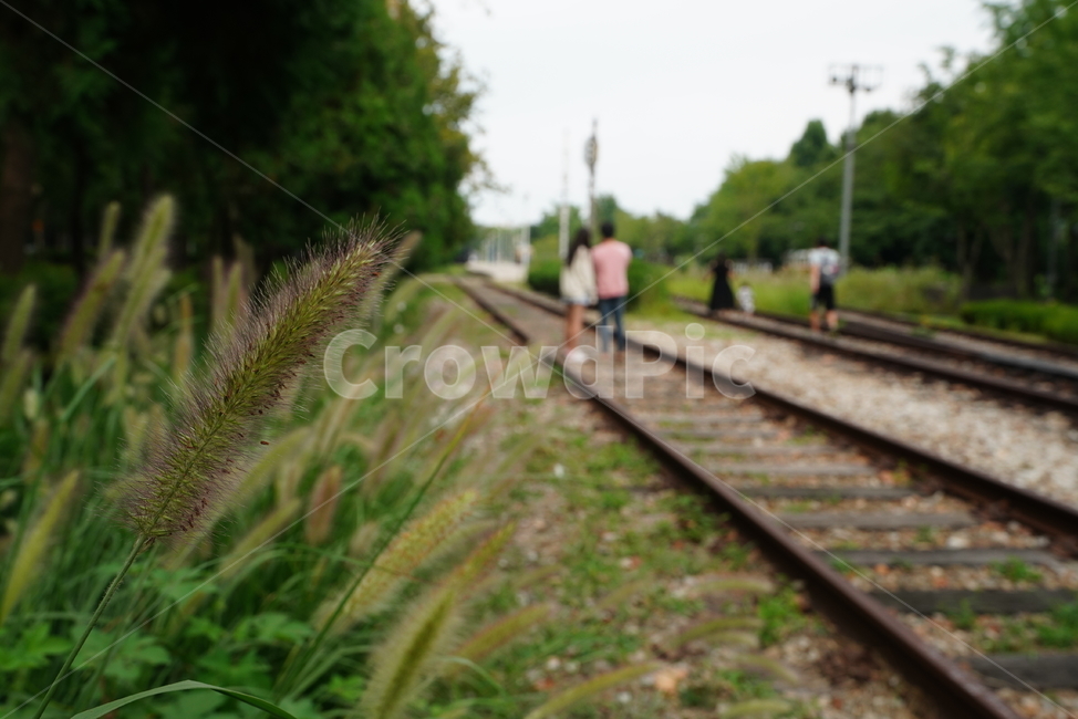 철도,rail,기찻길,길,road,레일,railway,교통,사람