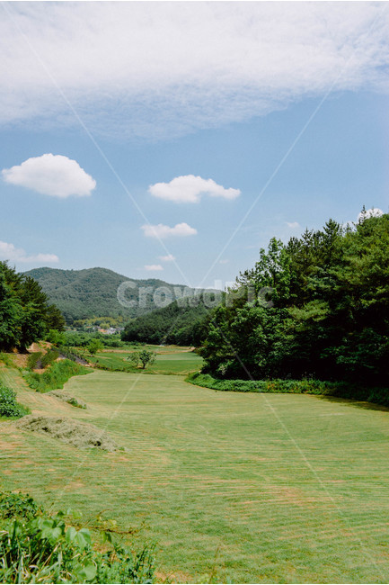 하늘,구름,자연,여름,대자연,자연,풍경,nature,landscape,outdoors,옥외,field,들,plant,식물,grass,잔디