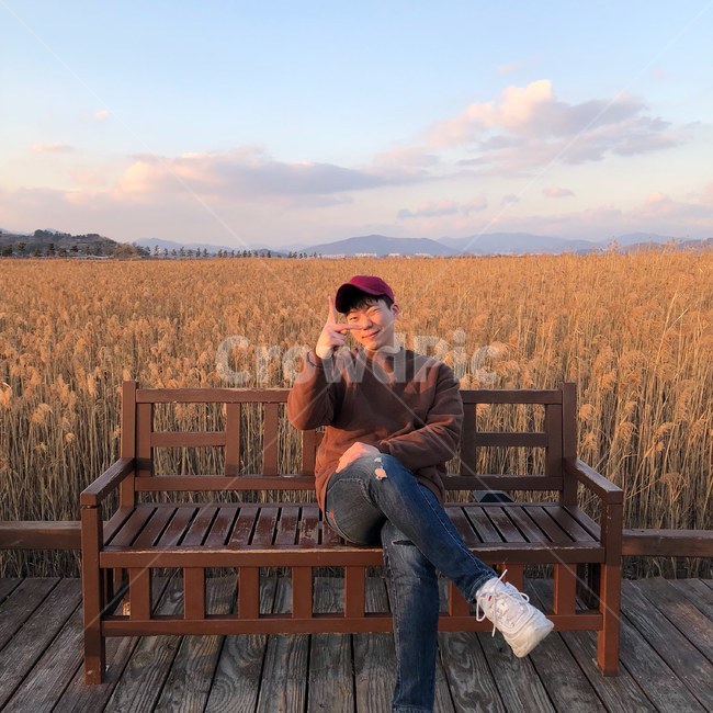 갈대,하늘,자연,순천만,습지