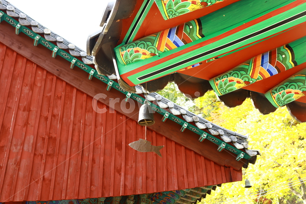 대구,팔공산,파계사,절,단풍,가을,fall,한국전통,한국문화,korean traditional,korean culture,건축물,건물외관,exterior,building,structure,architecture,construction
