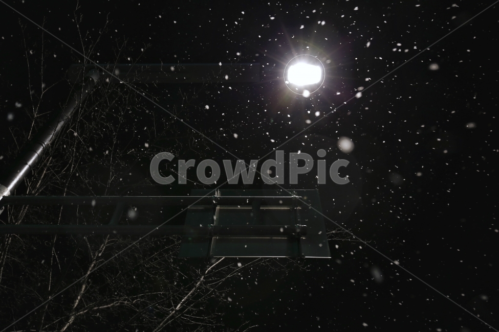 가로등,눈,겨울,전봇대,함박눈,감성,여행,조명,겨울,계절,winter,season,야경,밤,풍경,nightscape,night,landscape