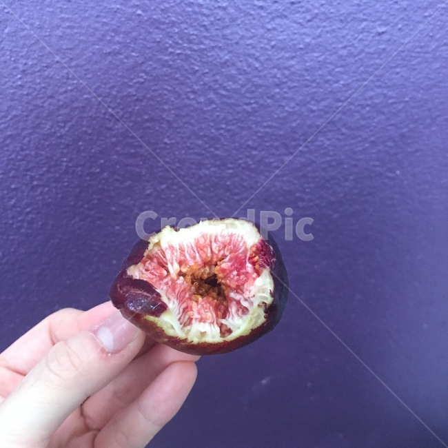 무화과,fig,열대과일,한입벤과일,과일,음식,식재료,요리,food,cook,meal,dishes,food reserves,과일,열매,fruit