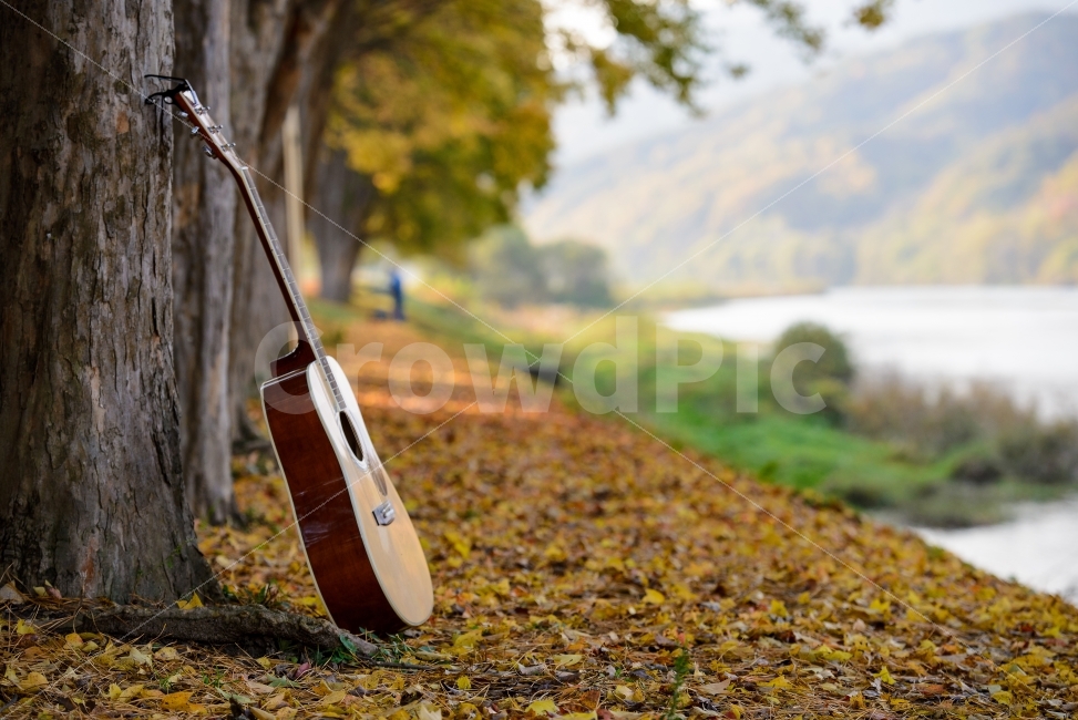 풍경,감성사진,기타,송호리,은행나무,가을,계절,fall,autumn,season,감성,sensible,feeling,연출,컨셉,콘셉,direction,concept,악기,음향기기,musical instrument,musical equipment