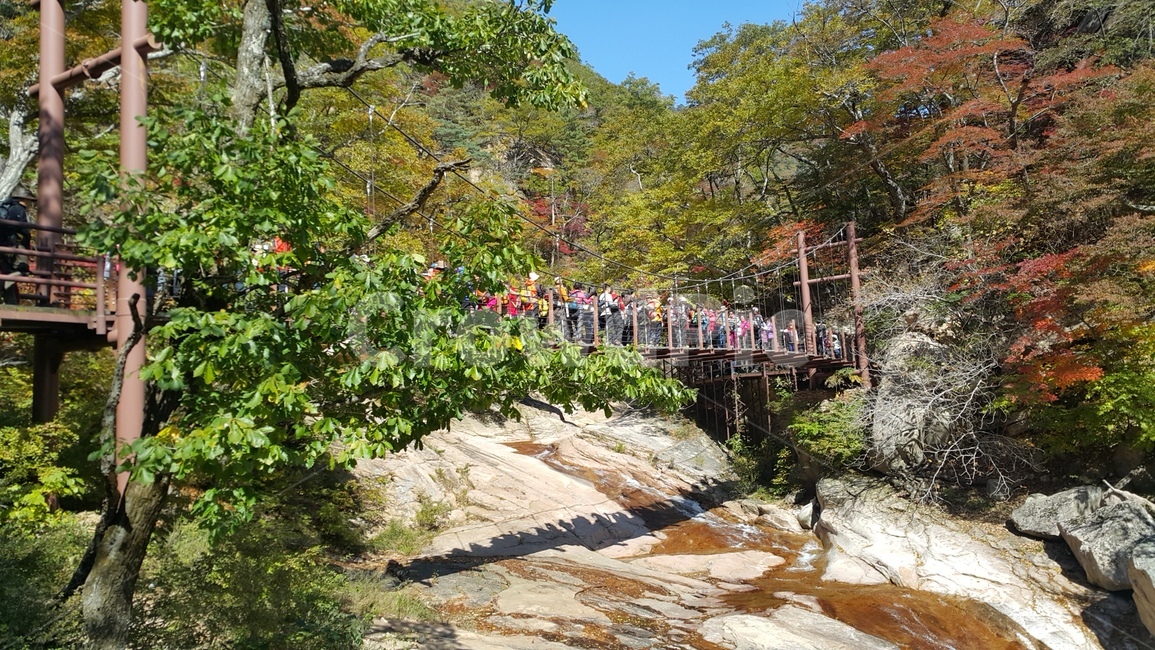 설악산,주전골,만경대,가을풍경,가을여행,단풍,가볼만한곳,가을,계절,fall,autumn,season,사람들,대중,군중,other people,crowd,outdoors,옥외
