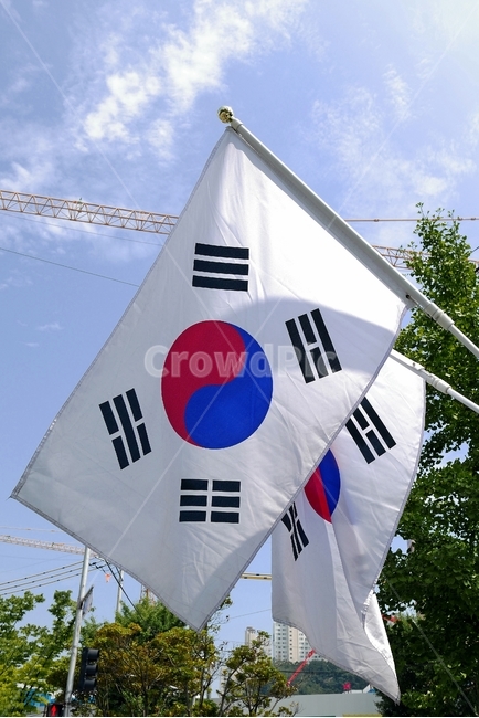 태극기,태극,국기,깃발,대한민국,한국,도시,공원,도로변,애국심,휘날리는,깃봉,깃대,하늘,펄럭,펄럭이는,태극문양,문양,건곤감리,건,곤,감,리,사괘,4괘,나무