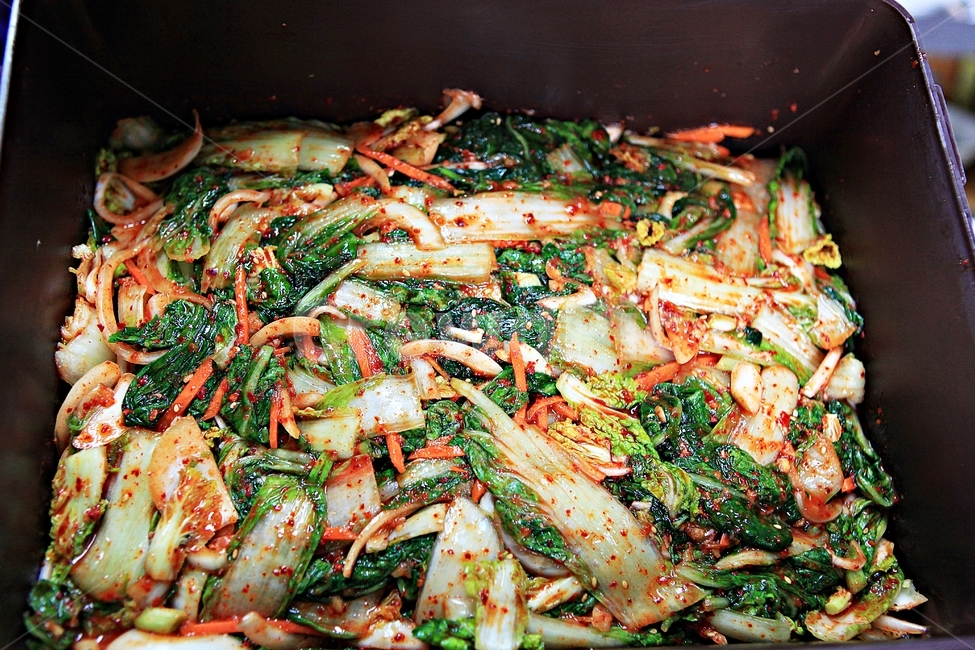 얼갈이김치,김치,먹거리,음식,한식,요리,음식,식재료,요리,food,cook,meal,dishes,food reserves,채소,야채,vegetables,한식,한국음식,한국요리,korean food,korean dishes,korean meal,korean cook