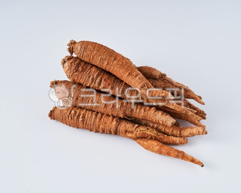 Hongcheon Fresh Deodeok,Hongcheon Deodeok Grilled,Hongcheon Deodeok,Seasoned deodeok,Hongcheon Hat Deodeok,Hat deodeok,Kkandeodeok,Natural Hongcheon Deodeok,Raw deodeok,Grilled deodeok,Hongcheon deodeok seasoned salad