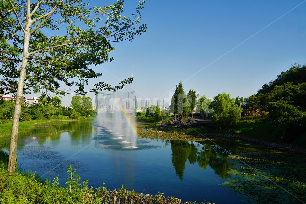 무지개,호수,호수공원,분수,반영