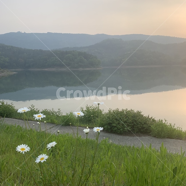 하늘,호수,꽃,야생화,언덕,일출,물안개,강,자연,힐링