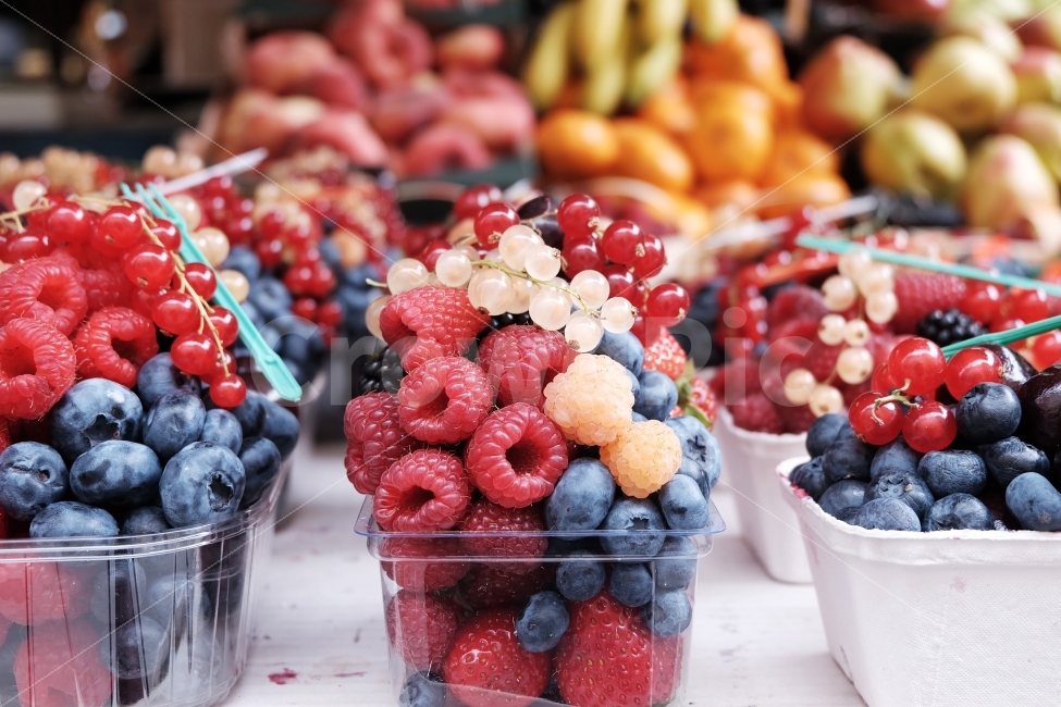 과일,상큼,fruit,블루베리,베리,산딸기,다이어트,건강,음식,음식,식재료,요리,food,cook,meal,dishes,food reserves,과일,열매,fruit,색깔,색상,색채,색감,color sense,color sensitivity,feeling of color