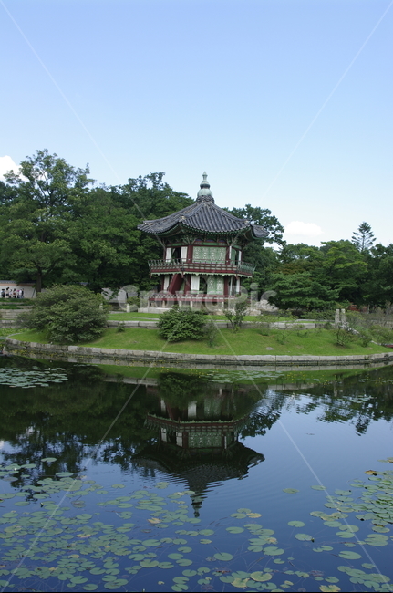 경복궁,향원정,연못,풍경,고궁,건축,전통건축,traditional,전통,기와지붕,도시,풍경,city,landscape,한국도시풍경,한국도시경관,korea cityscape,한국전통,한국문화,korean traditional,korean culture,nature,자연,outdoors,옥외,water,물