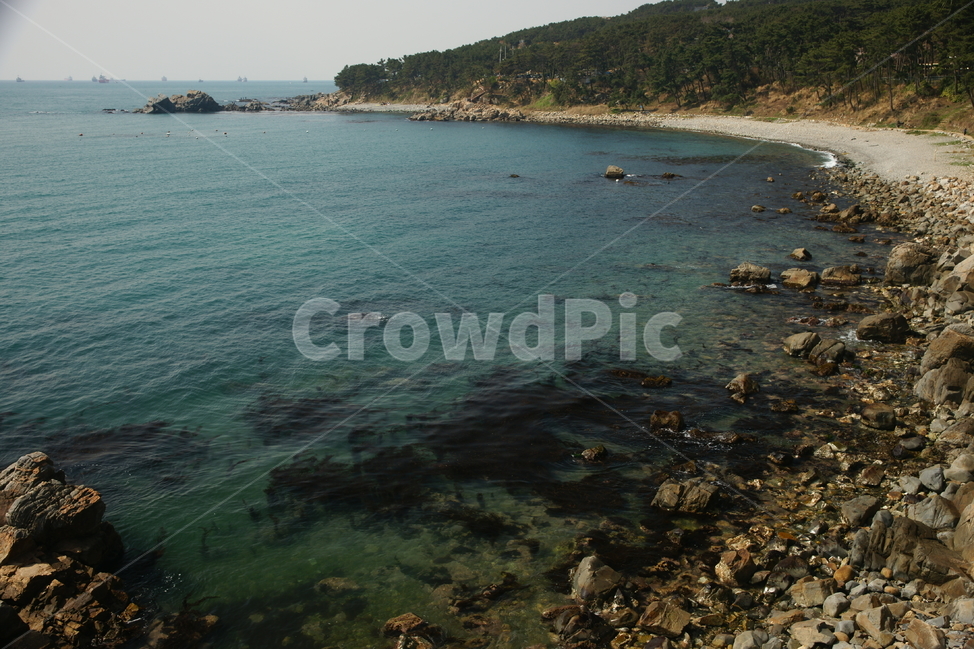 울산,대왕암공원,피러팡,울기등대,공원,자연,풍경,nature,landscape,한국자연풍경,한국자연경관,korea nature landscape,해변,바다,beach,sea,promontory,곶