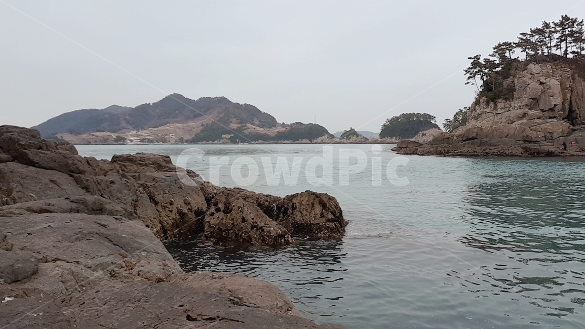 바다,섬,갯바위,풍경,sea,돌,나무,자연
