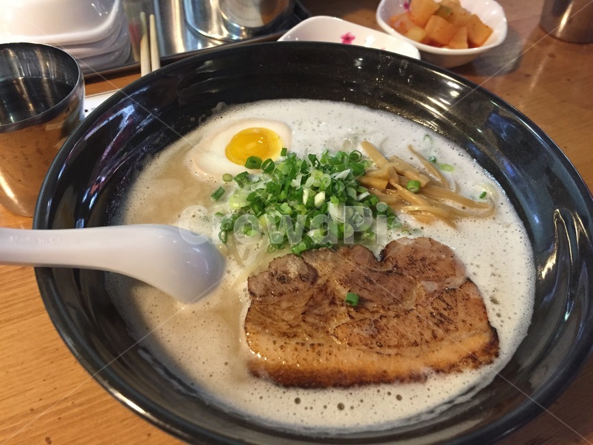 요리,라멘,일본식라면,식당,면음식,국물,고기,돈코츠라멘,돈코츠,파,음식,식재료,요리,food,cook,meal,dishes,food reserves,일식,일본음식,일본요리,Japanese food,Japanese dishes,Japanese meal,Japanese cook