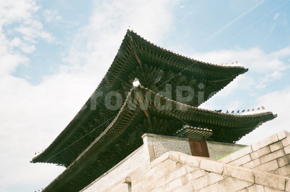 동대문,흥인지문,컬러,필름,필름사진,문화,성곽,성문,랜드마크,landmark,tourist attraction,한국랜드마크,한국관광지,한국명소,korea landmark,korea tourist attraction,건축물,건물외관,exterior,building,structure,architecture,construction