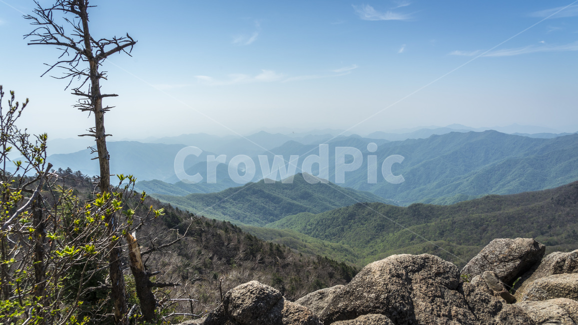 산,지리산,봄,철죽,등산,자연,한국자연경관,한국자연풍경,spring,landscape,koreanaturelandscape