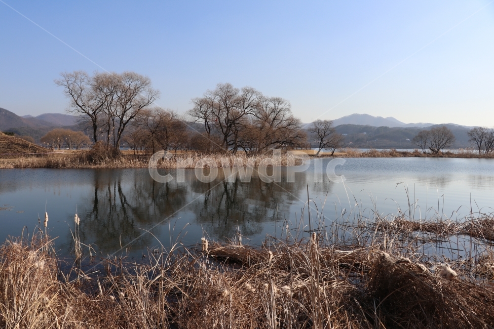 풍경,겨울,나무,강,반영,겨울,계절,winter,season,자연,풍경,nature,landscape,한국자연풍경,한국자연경관,korea nature landscape,water,물,outdoors,옥외,land,땅