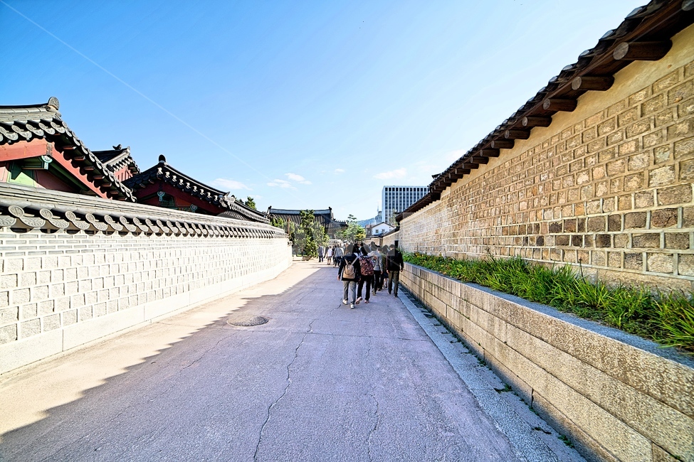창경궁,궁,palace,korea,한국,집,house,koreahouse,건축물,architecture,building,한옥,한국전통,한국문화,korean traditional,korean culture,건축물,건물외관,exterior,building,structure,architecture,construction