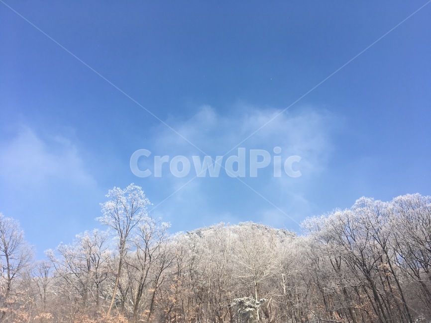 자연,nature,outdoors,겨울,눈,겨울,계절,winter,season,자연,풍경,nature,landscape