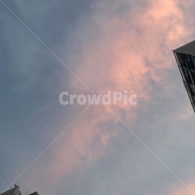 구름,노을,분홍,cloud,pink,솜사탕구름,핑크구름,하늘,도시