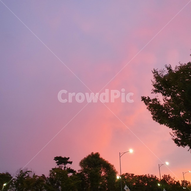 nature,자연,outdoors,옥외,핑크,하늘,핑크하늘,분홍,분홍하늘,노을,노을빛,감성,풍경,저녁