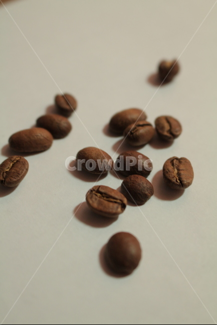 원두,콩,커피,로스팅,약배전,카페,커피,카페,coffee,cafe