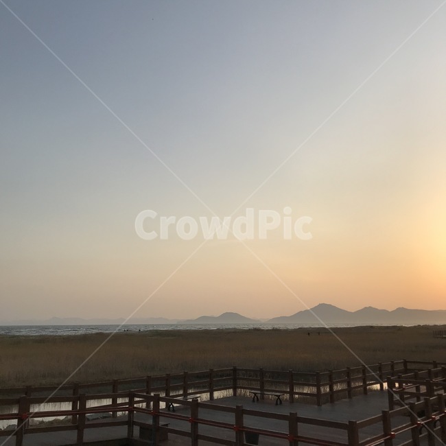 노을,갈대,바다,석양,하늘,저녁,부산,busan,sunset,sea,자연,풍경,nature,landscape,outdoors,옥외