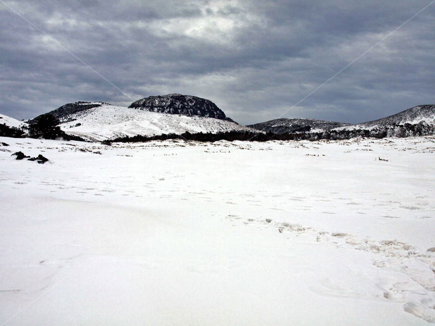 어리목,한라산,제주도,겨울,설산,설경,눈,백록담,겨울,계절,winter,season,자연,풍경,nature,landscape,outdoors,옥외,mountain,산